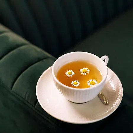 De Fleurie - Saint-germain-des-pres Hotel